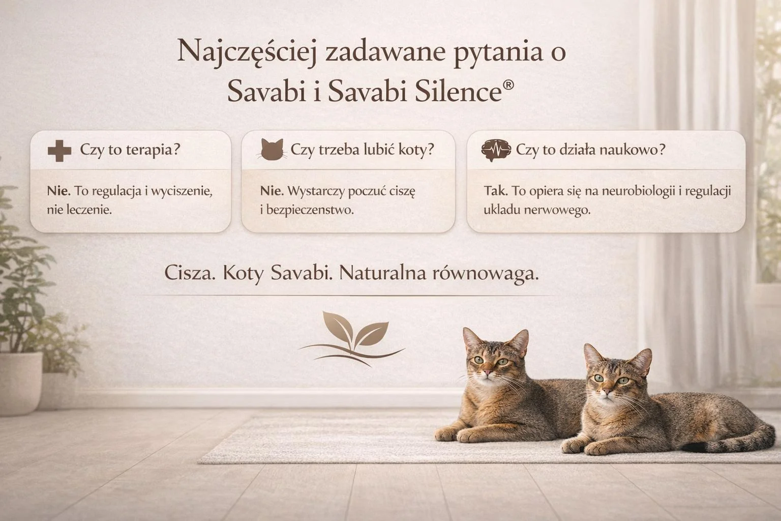 Sesja Savabi Silence w Instytucie Kota Savabi – najczęściej zadawane pytania o biologicznej regulacji napięcia z kotem rasy Savabi w kameralnej przestrzeni wyciszenia