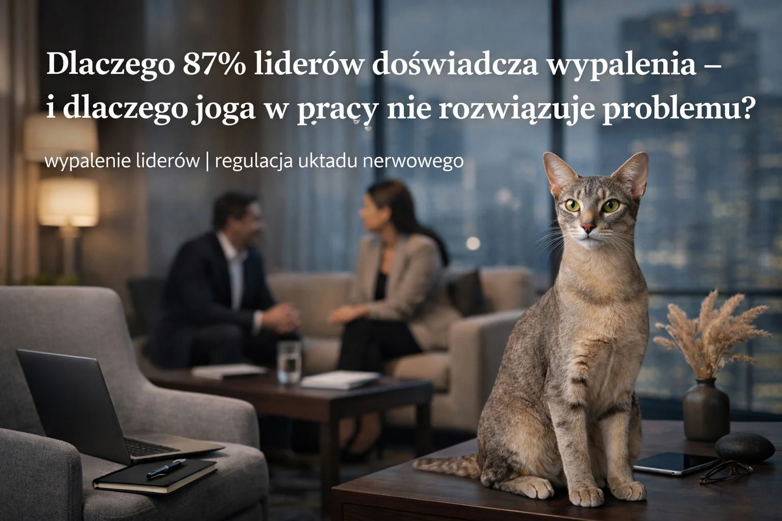 Wypalenie liderów i regulacja układu nerwowego – sesja wellbeingowa z kotem Savabi w Instytucie Kota Savabi wspierająca redukcję stresu kadry zarządzającej